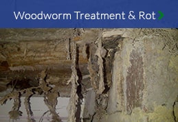 Wood Worm & Dry Rot Specialists North East
